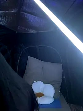 csck2025 online show from 11.29.25