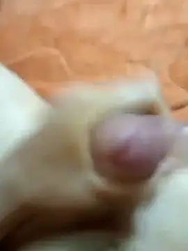 mmarvis za78 93 21cm online show from 01.25.25