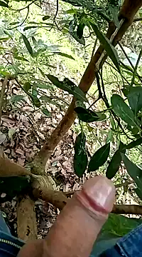 mmarvis za78 93 21cm online show from 02.05.25