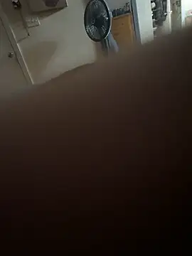 D2025Shower online show from 04.20.26