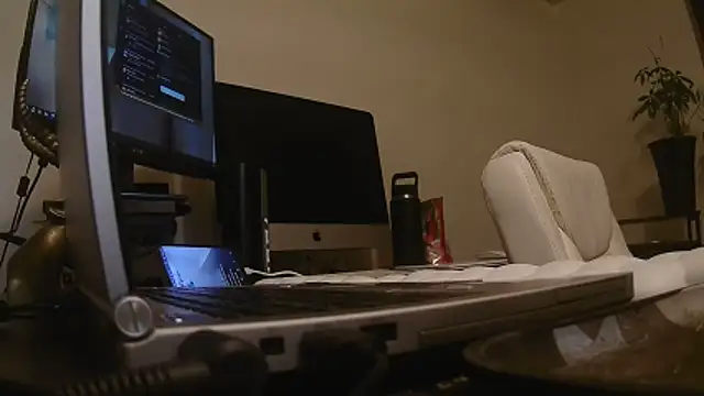 MrDaddyBbSnake online show from 04.24.26