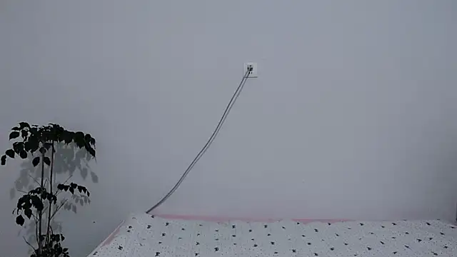                     88 online show from 02.03.26