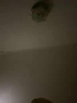                     88 online show from 03.07.26