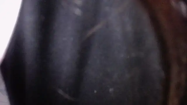 Sarita v  online show from 02.06.25