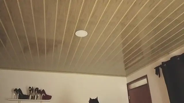 Renaxi Smith online show from 10.31.25