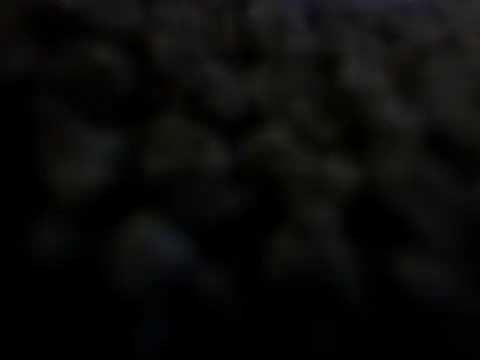 Snapshot of ximo0069 chatting on 01.20.25 ximo0069 online show from 01.20.25