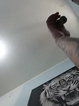 dany hardy online show from 11.16.25