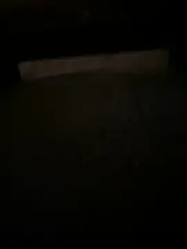 QTeepye online show from 04.16.26