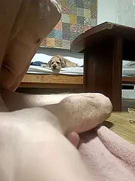 Bisexualhard23 online show from 01.18.26