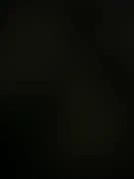 zedmitch online show from 07.04.26