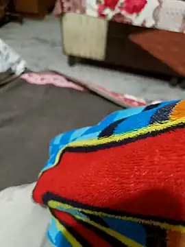 kaif 220 online show from 01.13.25