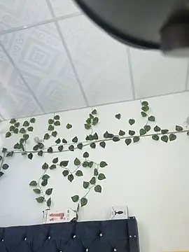 Snapshot of miaa--pervert chatting on 01.15.25 miaa--pervert online show from 01.15.25