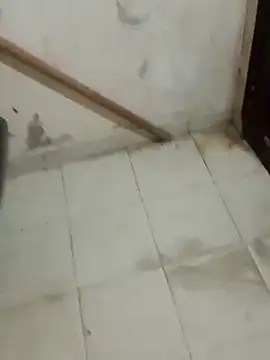 Snapshot of Jinenez chatting on 02.26.25 Jinenez online show from 02.26.25