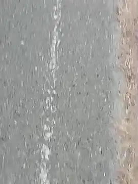 Snapshot of Jinenez chatting on 02.27.25 Jinenez online show from 02.27.25