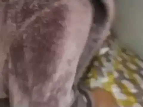 Snapshot of Chandy012 chatting on 09.19.25 Chandy012 online show from 09.19.25