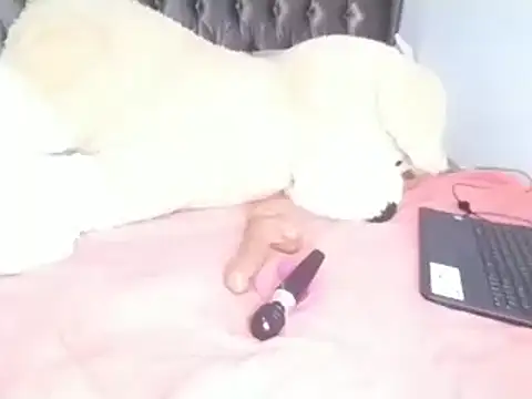 Chandy012 online show from 04.08.26