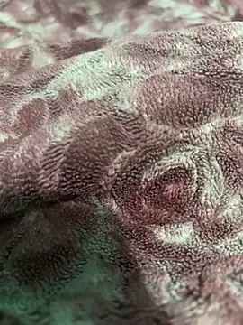 shibhu1 o online show from 03.11.25