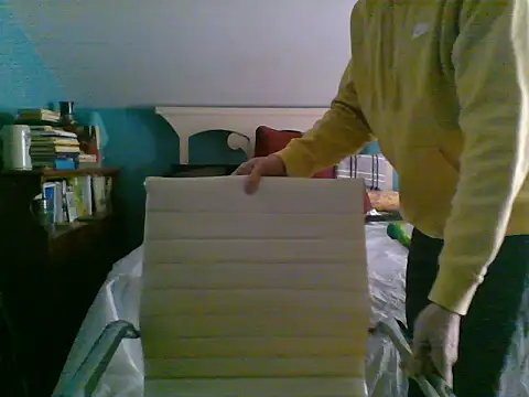 Prolapse Pig online show from 02.03.25