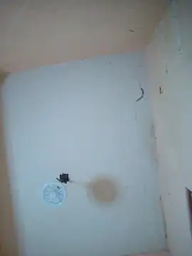 LuisMex1998 online show from 11.14.25