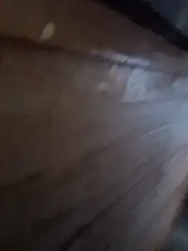 Raj41 online show from 01.06.26