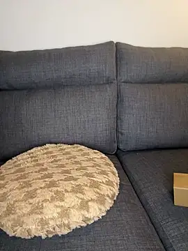 Lobna-alami online show from 02.11.25