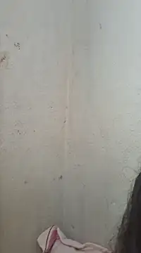 novinhatransexy online show from 02.11.25