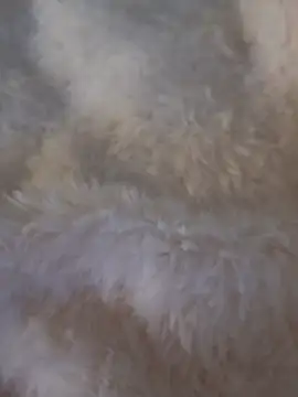 feketedemon36 online show from 01.25.25