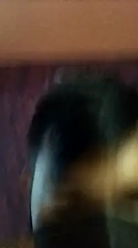 Snapshot of randit7 chatting on 01.27.25 randit7 online show from 01.27.25