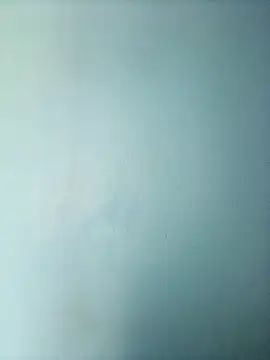 Snapshot of randit7 chatting on 03.01.25 randit7 online show from 03.01.25