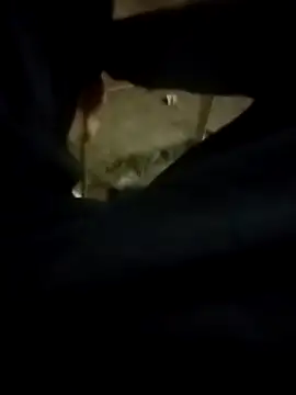 Snapshot of Playboy_bhabhi_00 chatting on 02.13.25 Playboy bhabhi 00 online show from 02.13.25