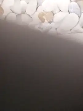 Snapshot of Playboy_bhabhi_00 chatting on 02.20.25 Playboy bhabhi 00 online show from 02.20.25