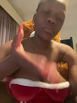 Boneca25 online show from 03.12.25