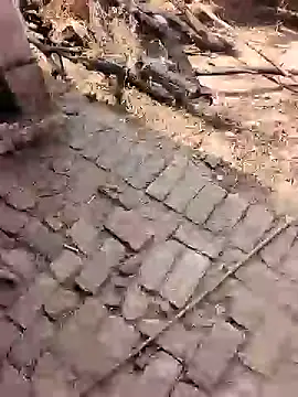 xmanrawan2 online show from 02.17.26