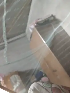 Snapshot of birds0641 chatting on 03.31.26 birds0641 online show from 03.31.26