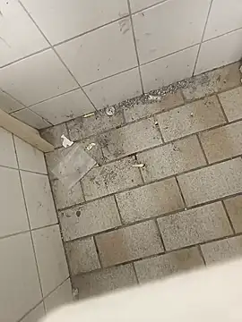 wadmma online show from 11.19.25