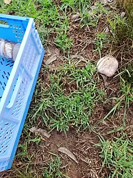 Snapshot of RichardHard_1 chatting on 01.17.26 RichardHard 1 online show from 01.17.26