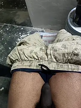 omni 333 online show from 02.02.26