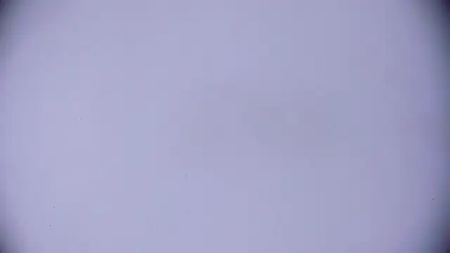 Ashlyaurora online show from 03.20.25