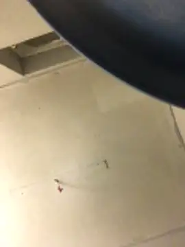 Snapshot of cumcum94 chatting on 02.17.26 cumcum94 online show from 02.17.26