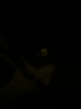 sark0606 online show from 02.06.25