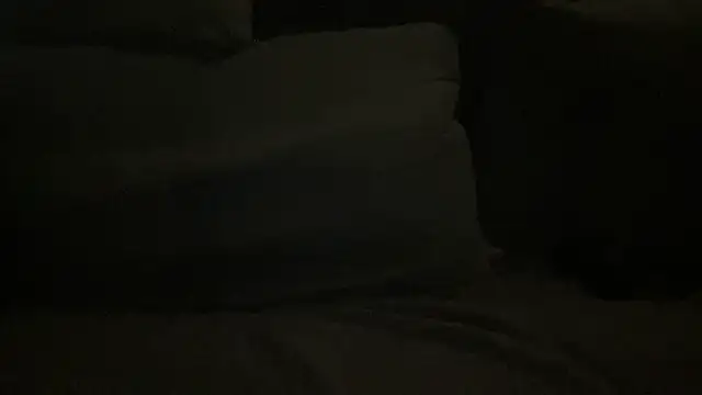 LeoLovelyDick online show from 11.24.25