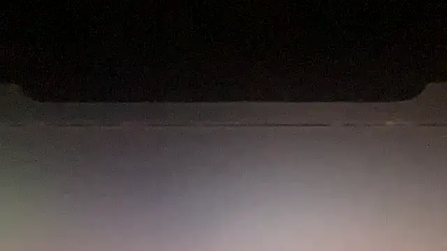 LeoLovelyDick online show from 01.13.26