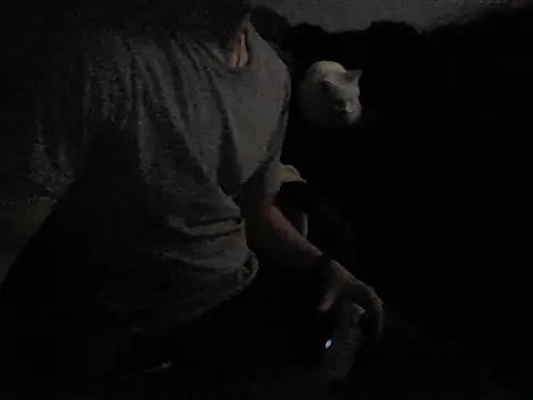 MarioKnero online show from 02.26.26