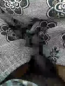 Snapshot of Tamil_small_cock chatting on 03.05.25 Tamil small cock online show from 03.05.25