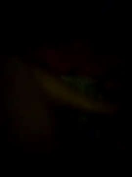 jonzzvergs online show from 02.09.25