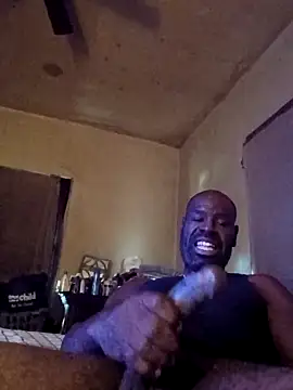 birdg online show from 11.13.25