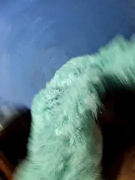 Snapshot of Caing23 chatting on 02.27.26 Caing23 online show from 02.27.26