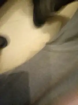 flo000031 online show from 01.14.26