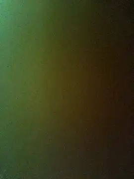 Snapshot of PPP-30 chatting on 02.20.25 PPP-30 online show from 02.20.25