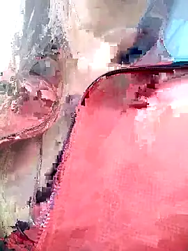 Snapshot of PPP_25 chatting on 11.01.25 PPP 25 online show from 11.01.25